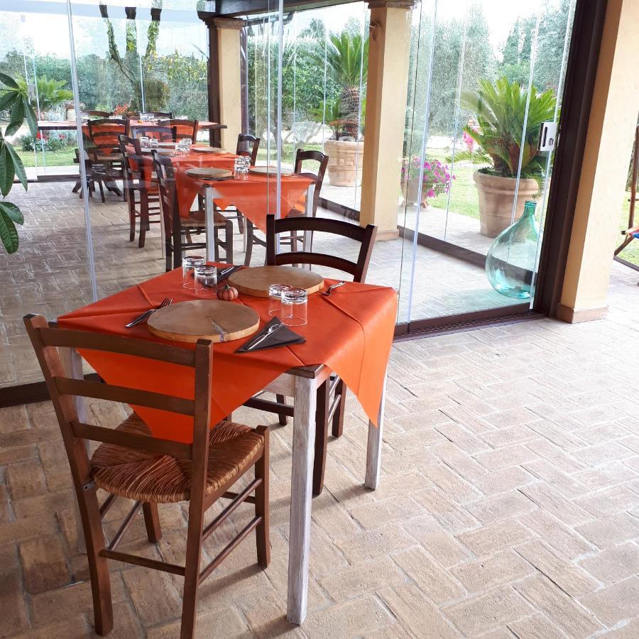 Casa Degli Ulivi Acomodação com café da manhã Cerveteri Exterior foto