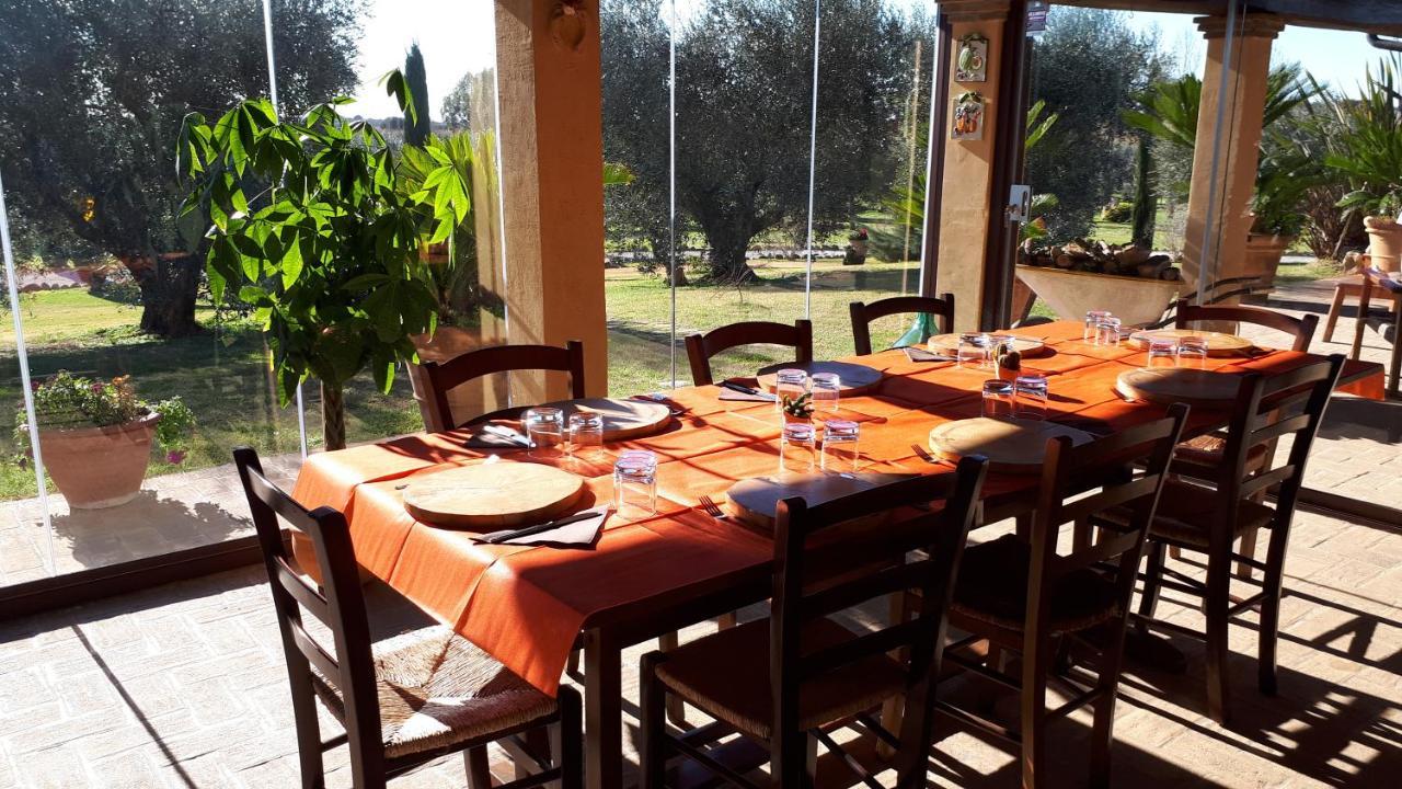 Casa Degli Ulivi Acomodação com café da manhã Cerveteri Exterior foto