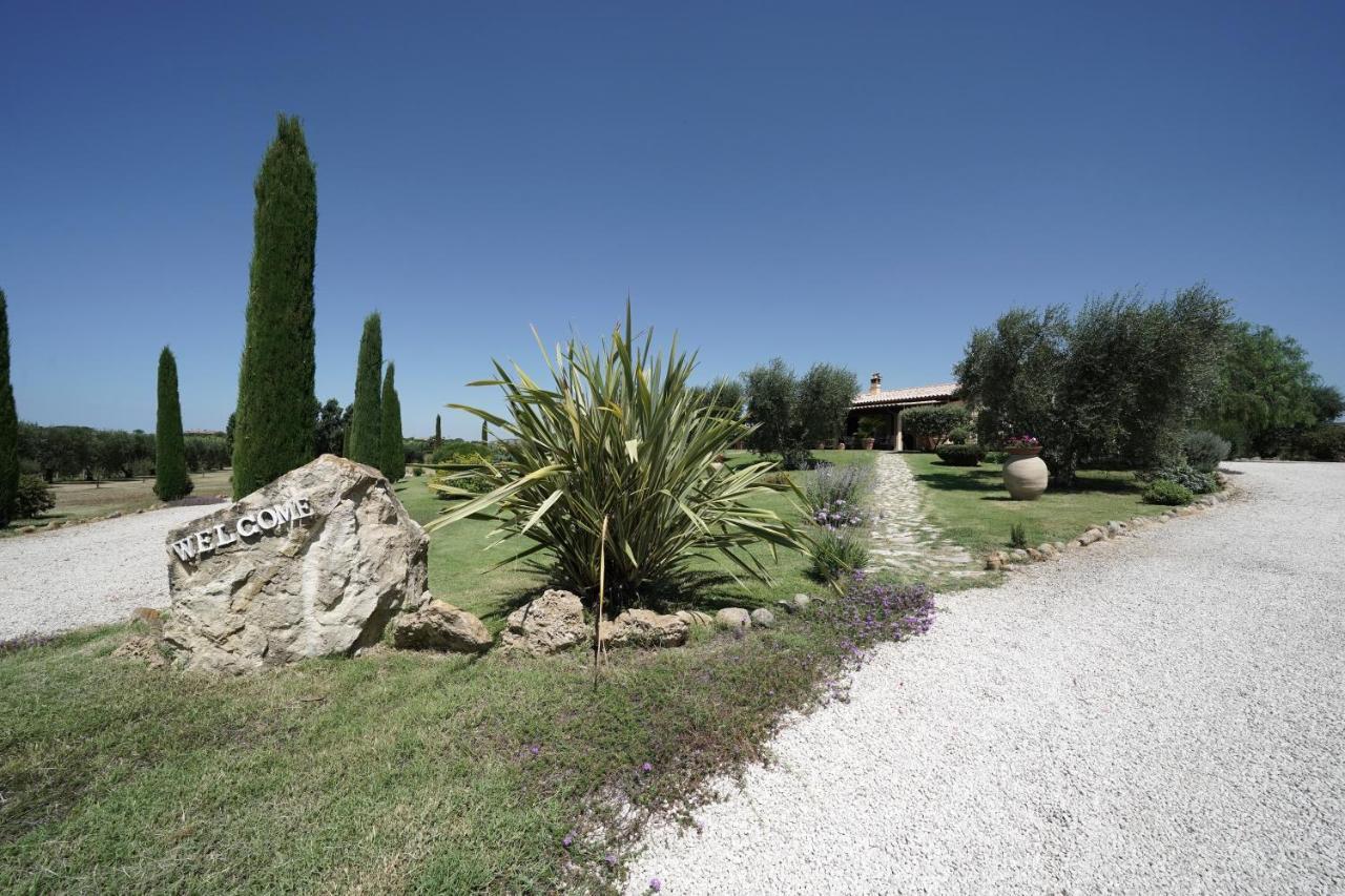 Casa Degli Ulivi Acomodação com café da manhã Cerveteri Exterior foto