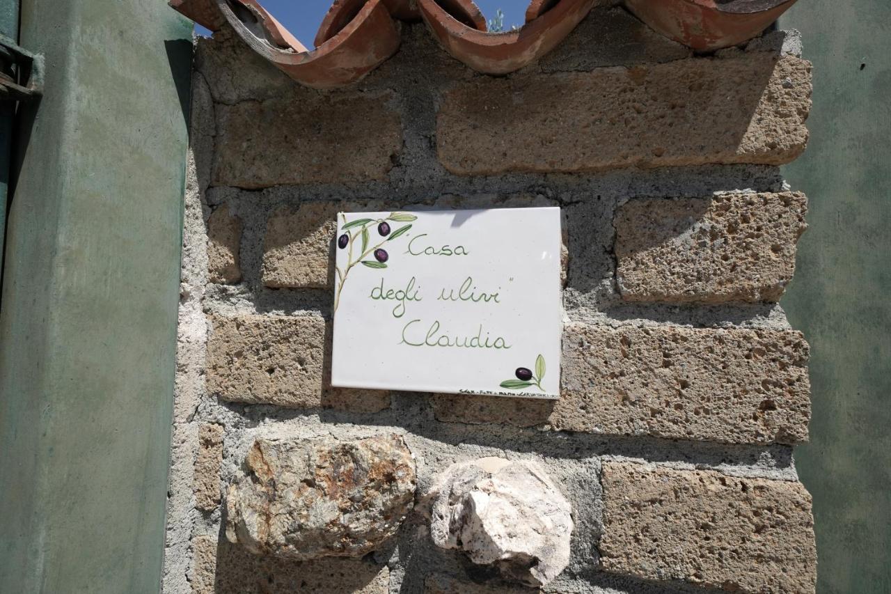 Casa Degli Ulivi Acomodação com café da manhã Cerveteri Exterior foto