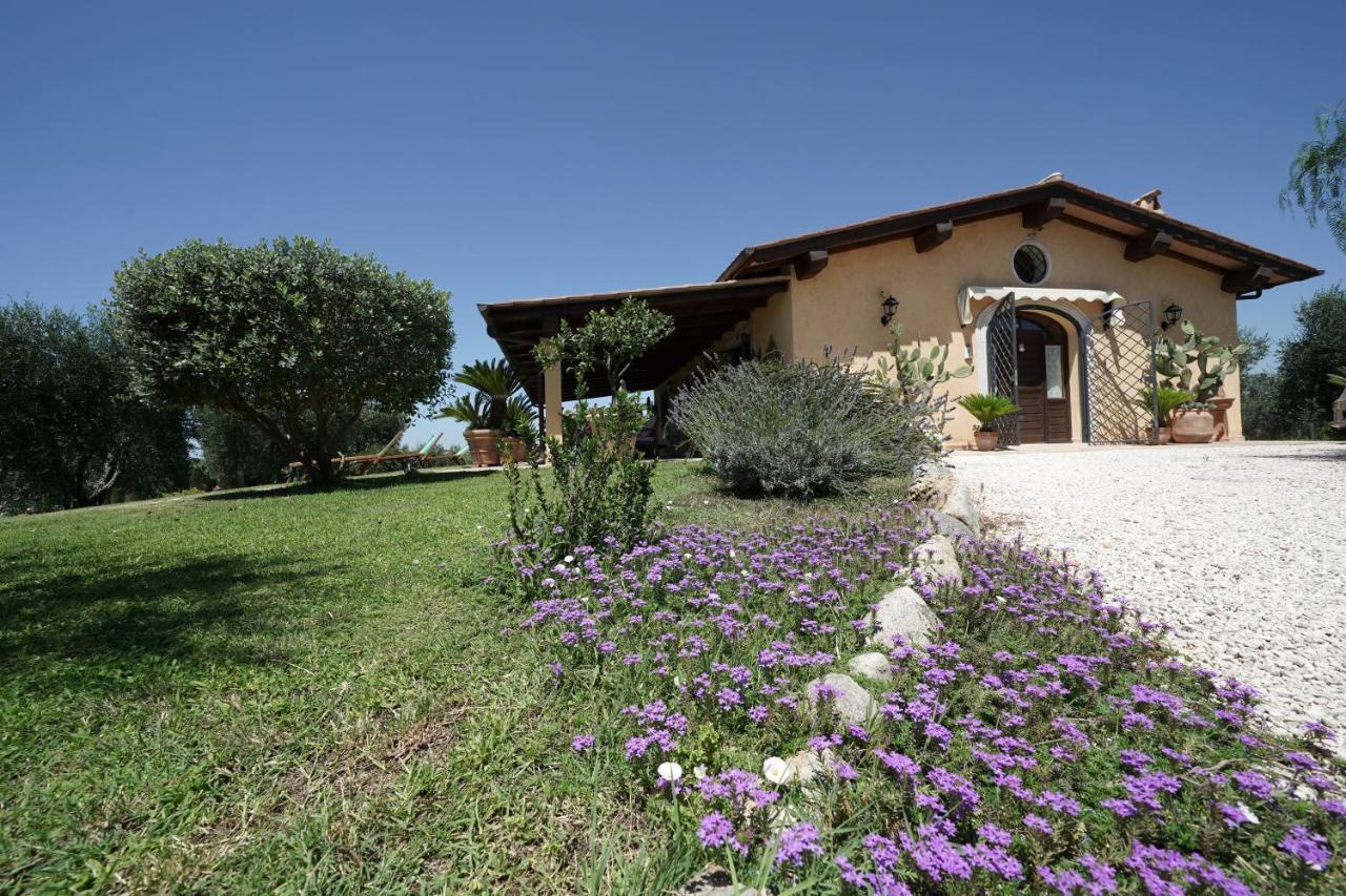 Casa Degli Ulivi Acomodação com café da manhã Cerveteri Exterior foto