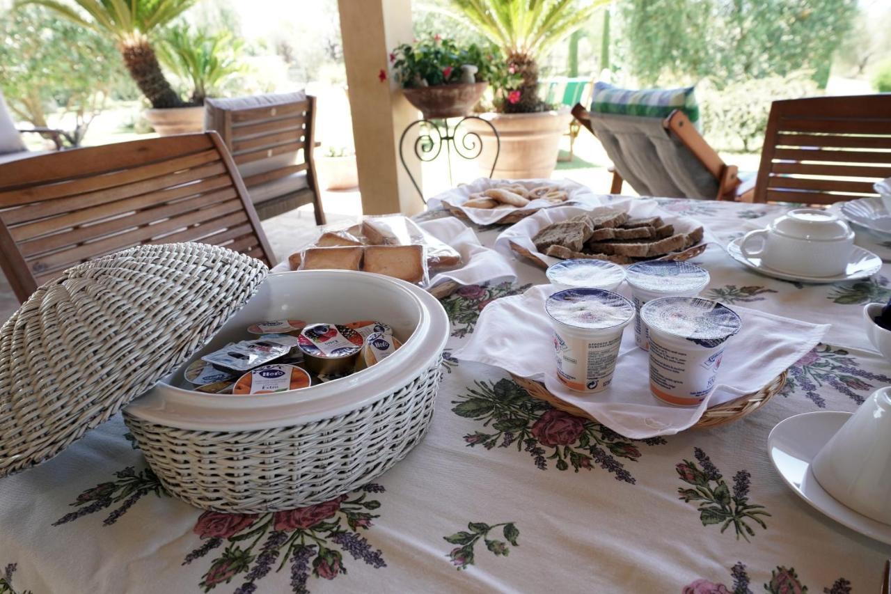 Casa Degli Ulivi Acomodação com café da manhã Cerveteri Exterior foto