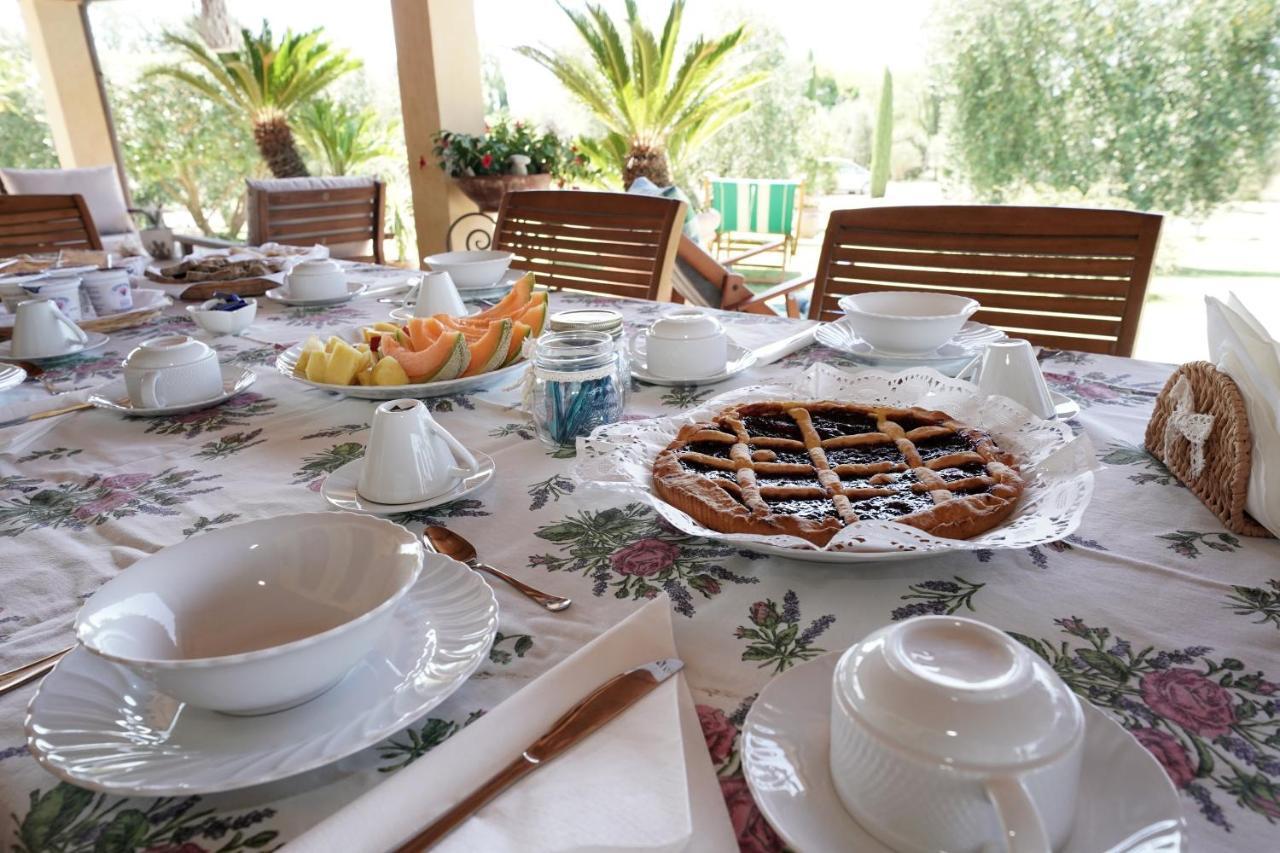 Casa Degli Ulivi Acomodação com café da manhã Cerveteri Exterior foto