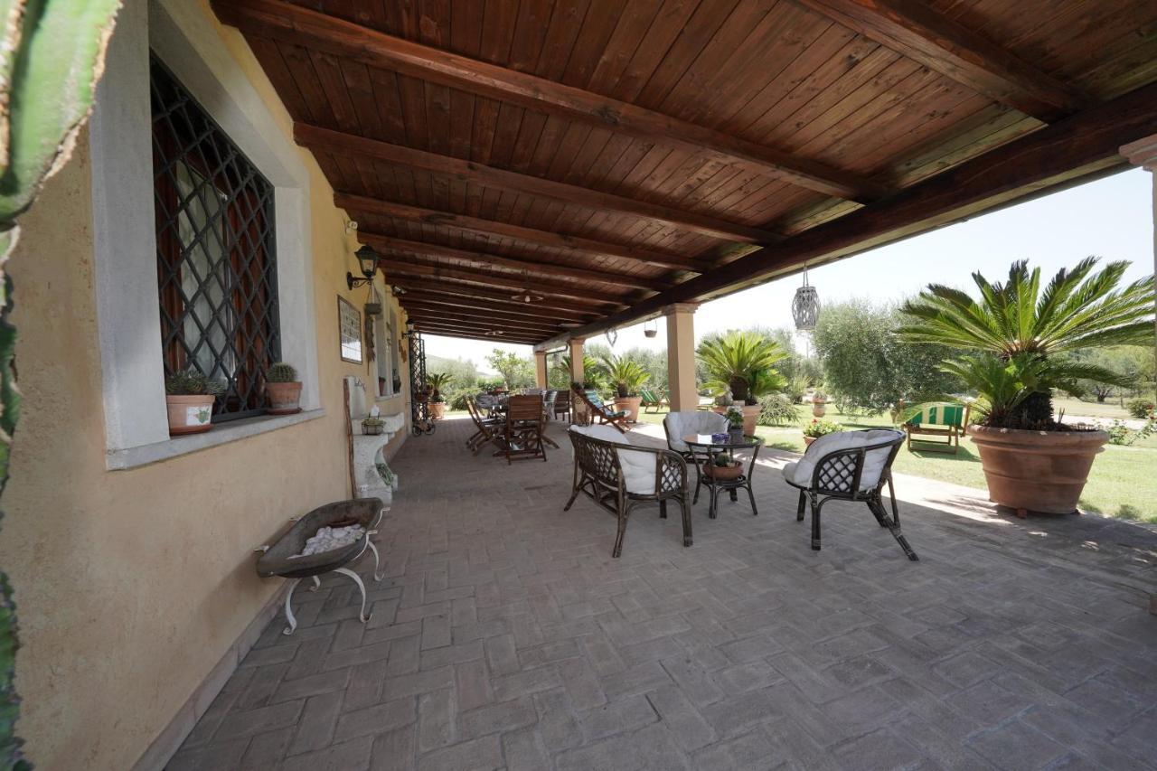 Casa Degli Ulivi Acomodação com café da manhã Cerveteri Exterior foto